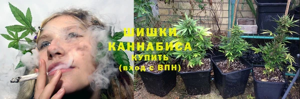 гидропоника Михайлов