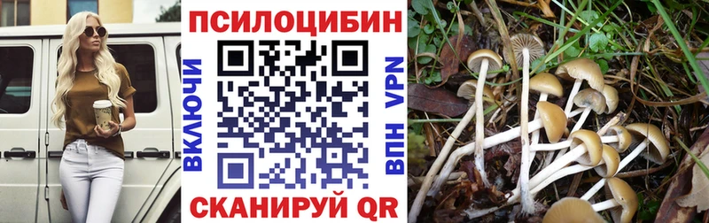 Псилоцибиновые грибы Cubensis  Купить  Лакинск 